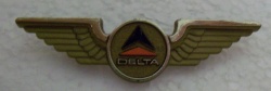 Delta Airlines Wings Pin