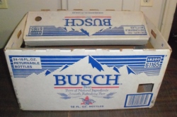 busch beer case