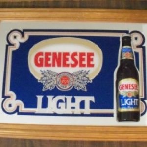genesee light beer bottle mirror