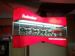 Budweiser Beer Clydesdale Rotating Bowtie Light  My Beer Sign Collection &#8211; Not for sale but can be bought&#8230; budweiserclydesdalerotatingbowtielight